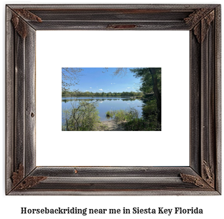 horseback riding near me in Siesta Key, Florida